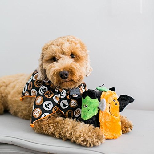 ZippyPaws Squeakie Buddies - No Stuffing Dog Toys to Keep Them Busy, for Small & Medium Dogs, Squeaky Pet Toy for Boredom, Unstuffed Chew Toy, Soft Plush Puppy Products - Pack of 3