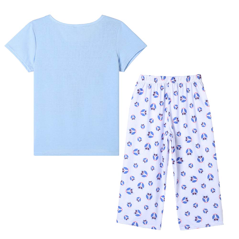 YIJIU Pajamas for Women Cute Owl Print Warm Sleepwear Two Piece Pajama Set, Owl, XXX-Large