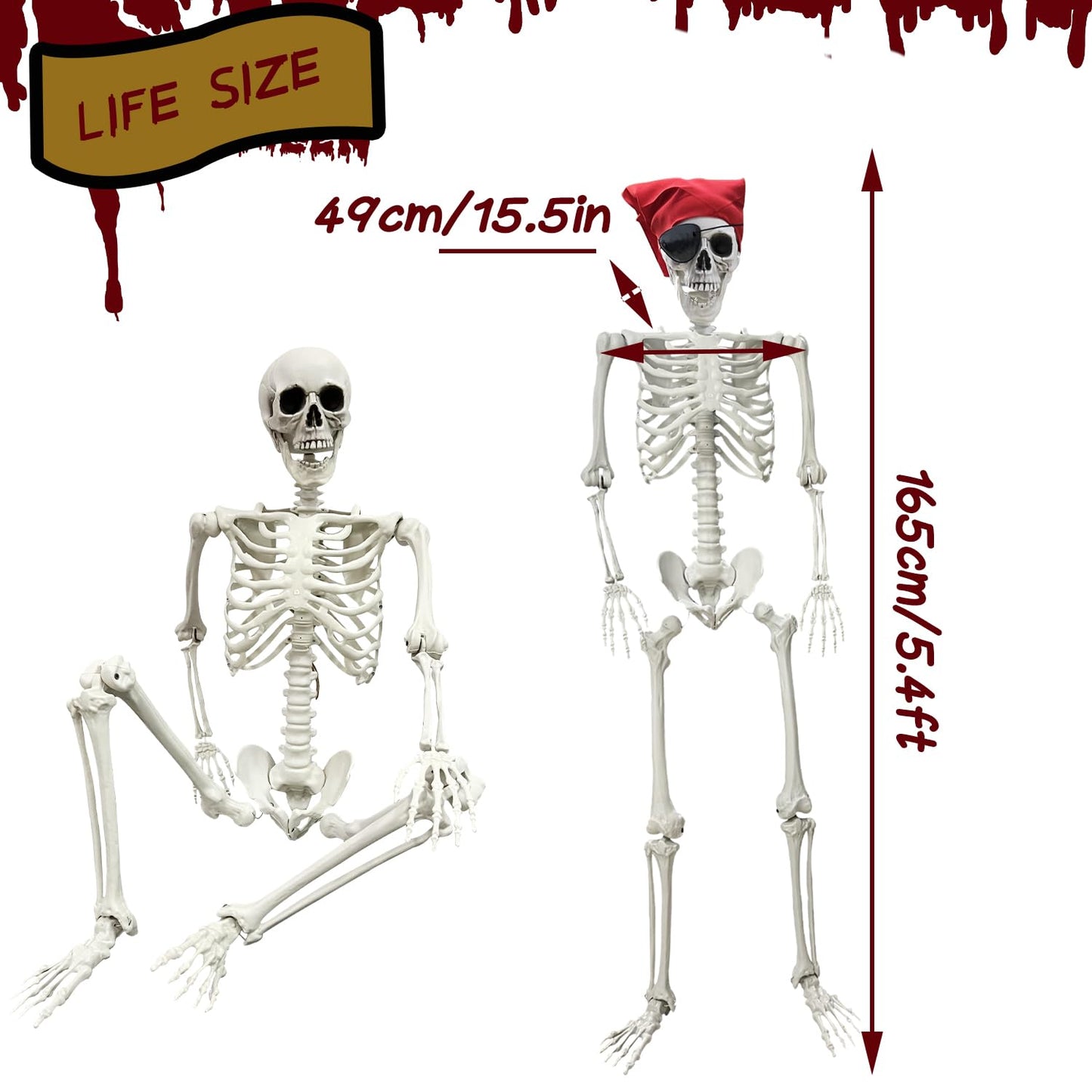 IDMOP 5.4Ft Halloween Skeleton - Life Size Full Body Realistic Human Bones with Posable Joints for Halloween Pose Skeleton Prop Decoration