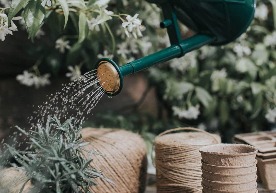 Indoor Plastic Watering Can | The HAWS The Bartley Burbler - Two Pint | Pot Waterer | Fine Spray Rose - Green