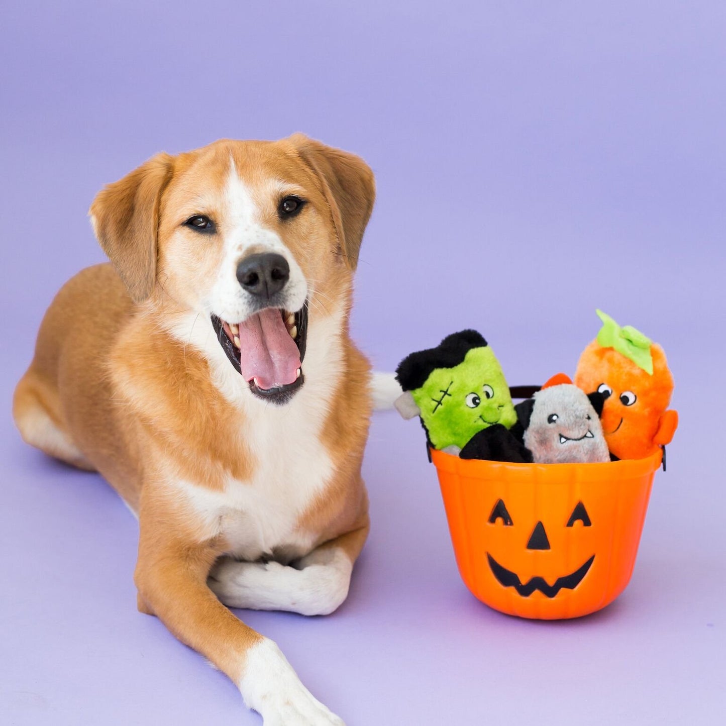 ZippyPaws Squeakie Buddies - No Stuffing Dog Toys to Keep Them Busy, for Small & Medium Dogs, Squeaky Pet Toy for Boredom, Unstuffed Chew Toy, Soft Plush Puppy Products - Pack of 3