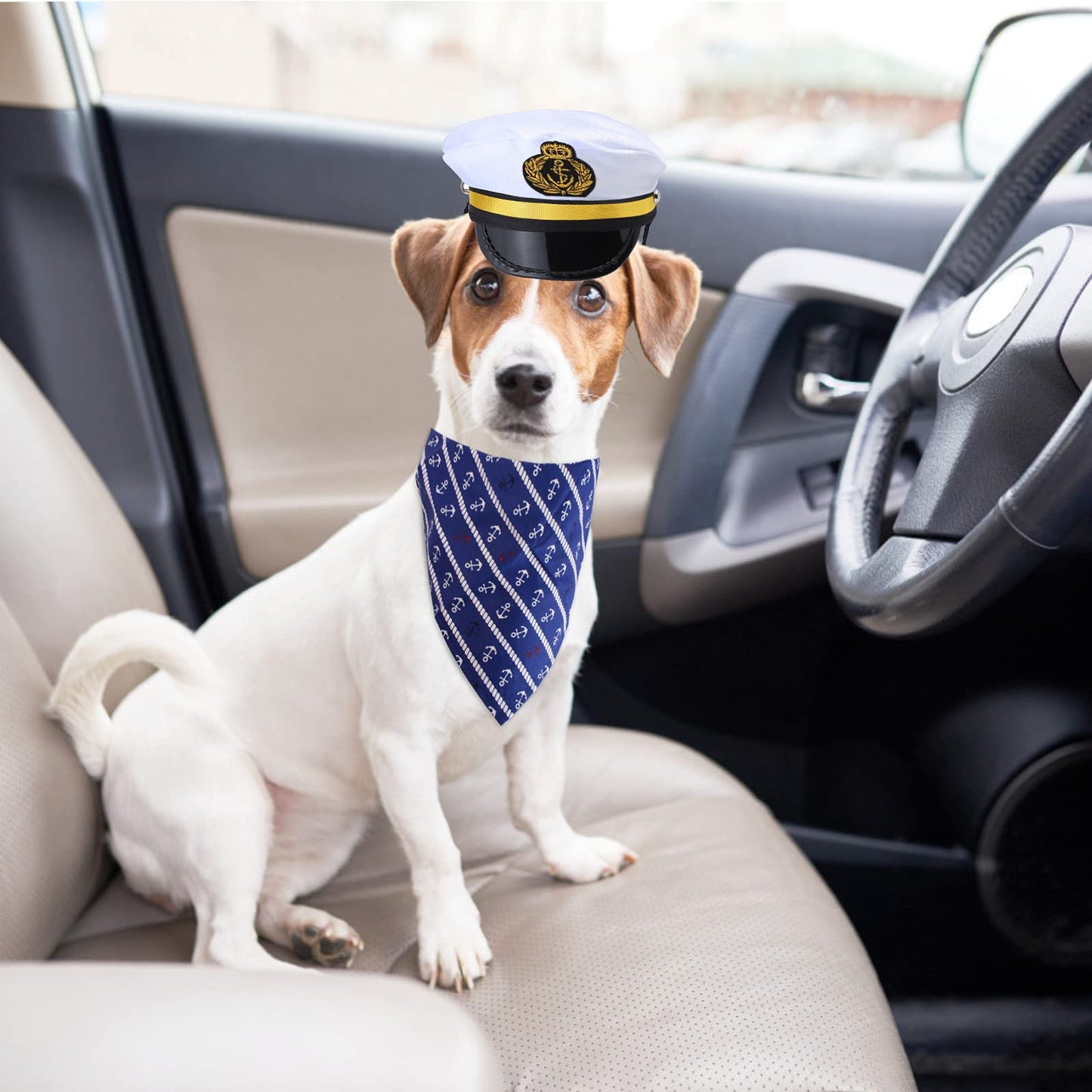 Yewong Pet Captain Sailors Costume Set Dog Cat Sea Captain Hat with Pet Anchor Triangle Bibs Scarf for Cat Puppy Navy Halloween Cosplay Costume Accessories Photo Props (White-B)