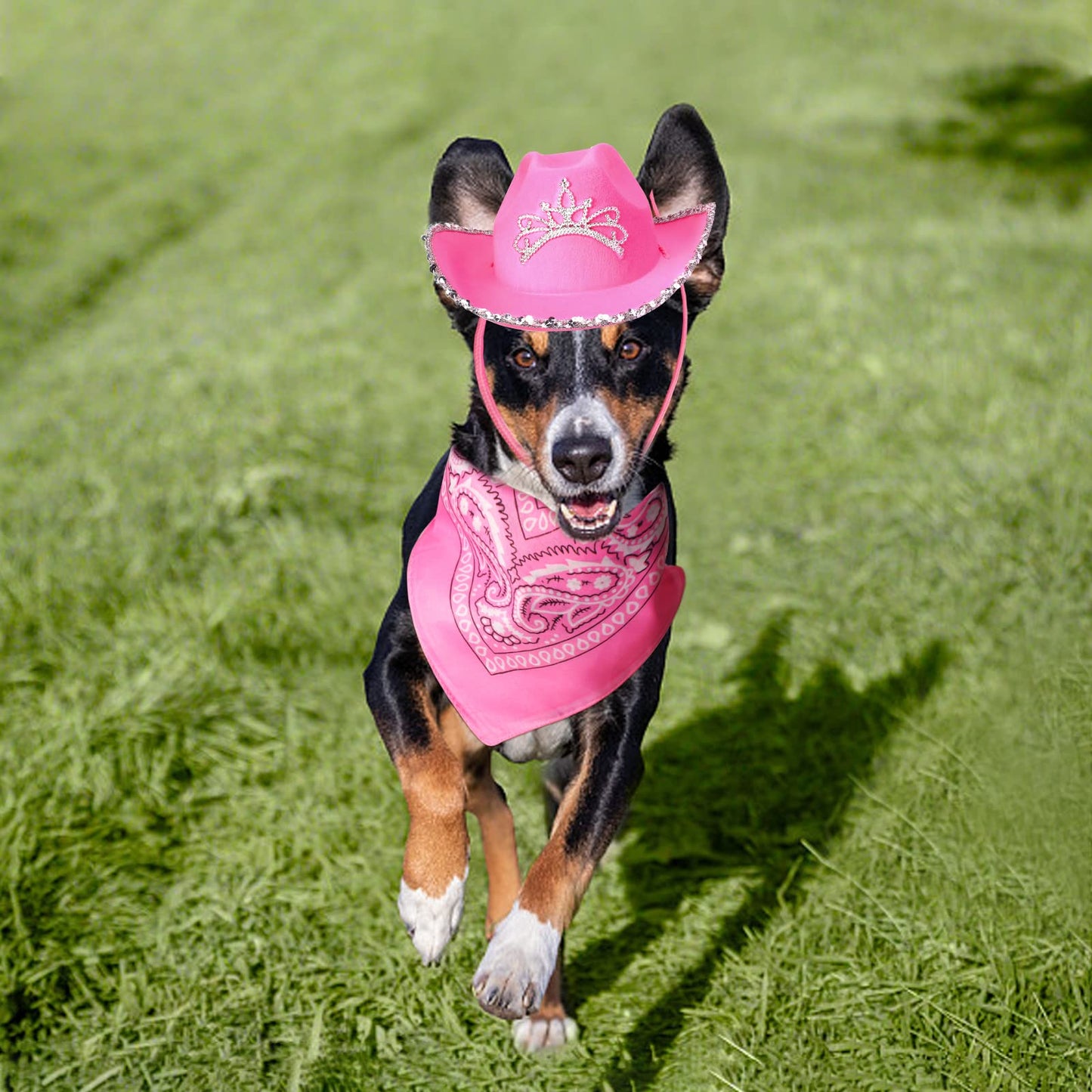 Yewong Pet Pink Cowboy Hat Costume Accessory Set Dog Cat Size Pink Cowgirl Princess Hat with Crown Tiara Bandana/Scarf for Cat Puppy Western Costume Daily Wearing Photo Props (Set A)