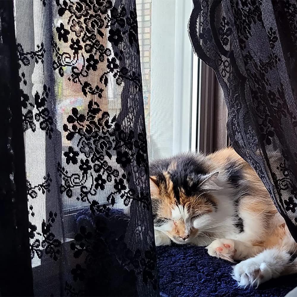 YJ YANJUN Black Sheer Curtains 54 inch Length- Goth Victorian Kitchen Lace Curtain Panel Halloween Short Curtains for Bathroom Window Coffin/Witchy/Gothic Home Decor 52 x 54 Inch Black