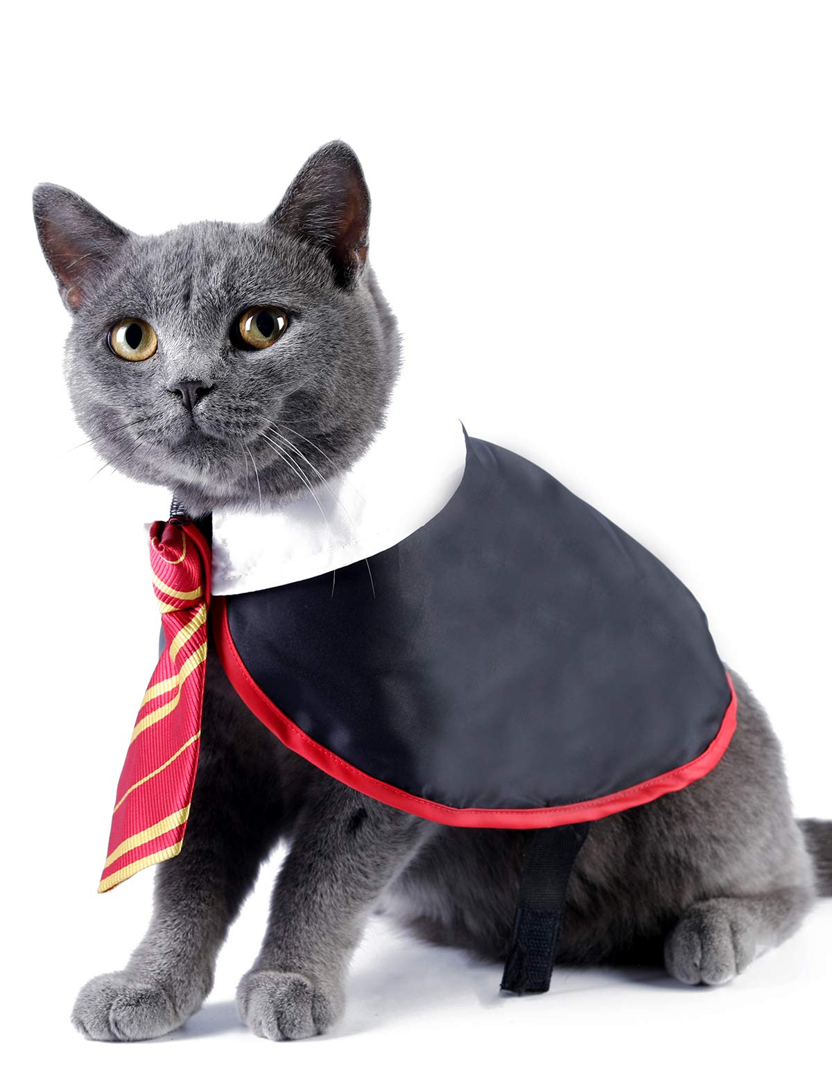 Impoosy Halloween Cat Costume Small Dog Wizard Pet Clothes Cute Apparel Puppy Shirts with Glasses (Large)