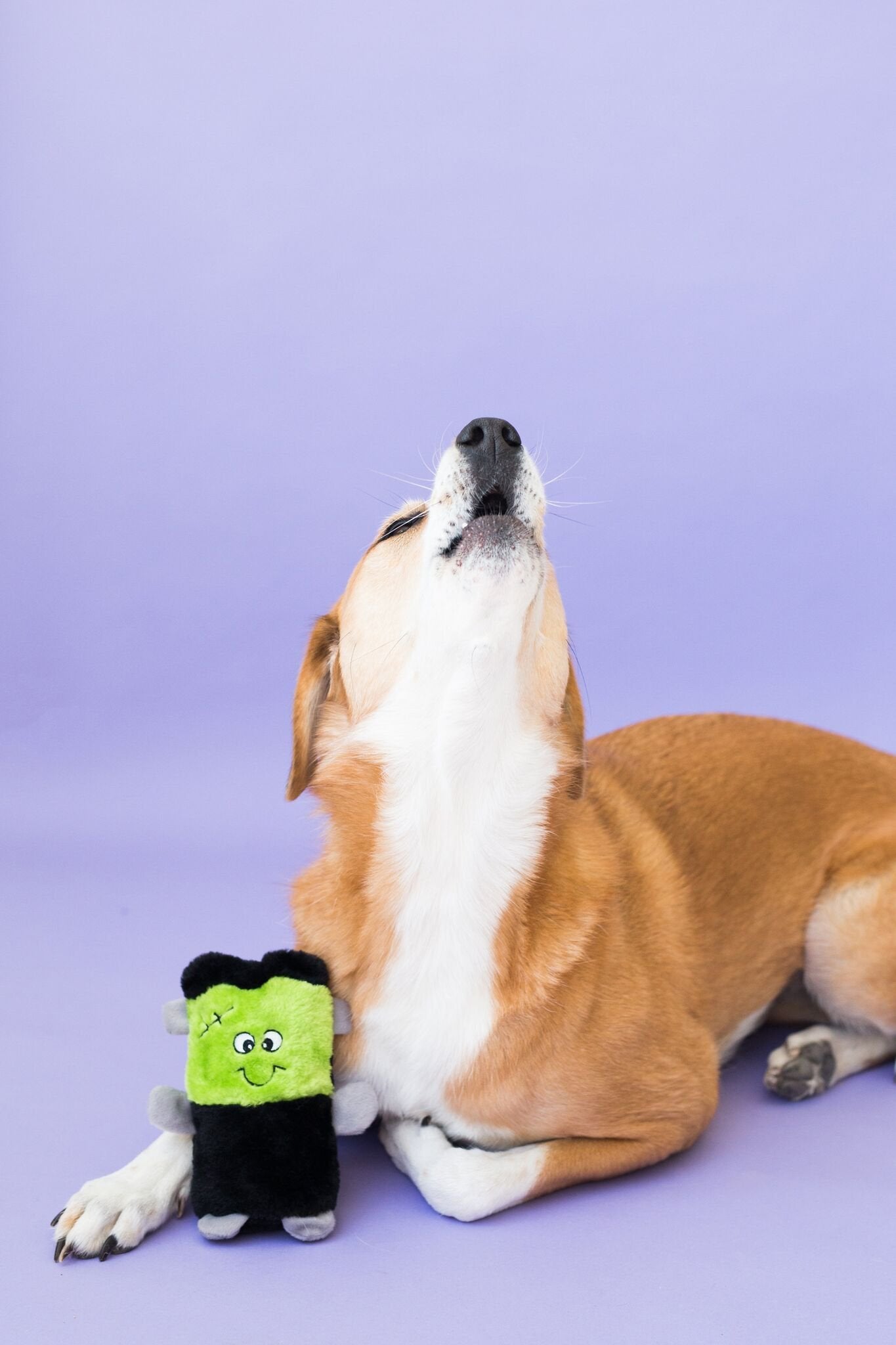 ZippyPaws Squeakie Buddies - No Stuffing Dog Toys to Keep Them Busy, for Small & Medium Dogs, Squeaky Pet Toy for Boredom, Unstuffed Chew Toy, Soft Plush Puppy Products - Pack of 3