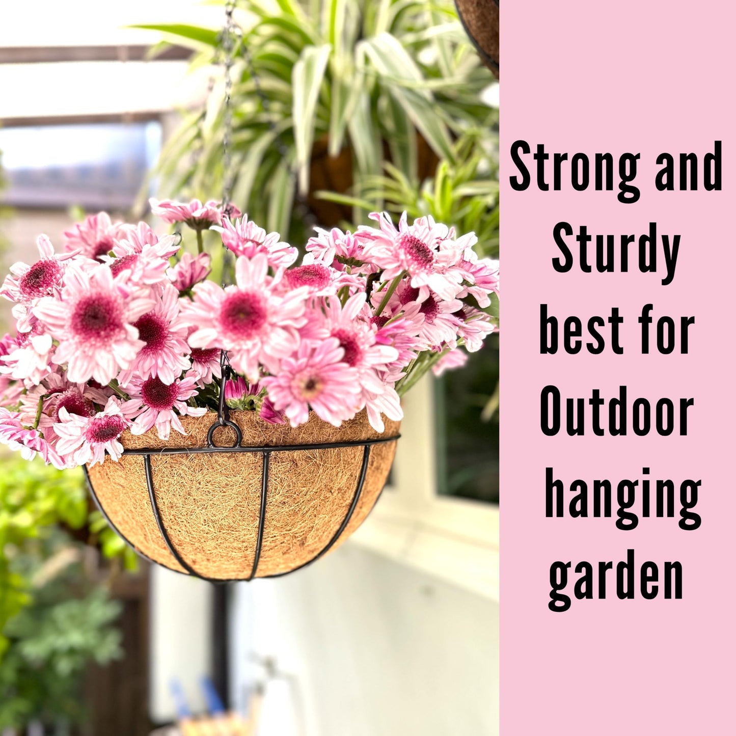 LaLaGreen Hanging Planters with Coco Liners (12 Inch, 3 Pack) Hanging Baskets for Plant Outdoor, Hanging Plant Pot Flower Metal Wire Round Holder Hanger Hook Chain Deck Porch Garden Balcony Boho Decor