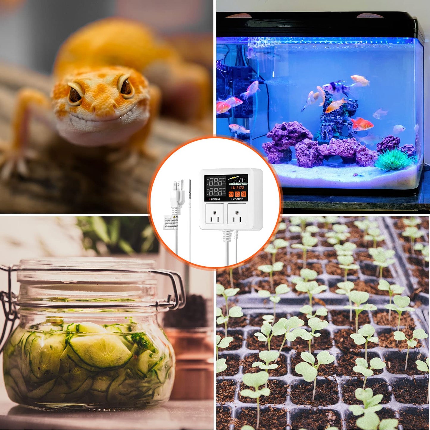 iPower Professional Digital Heating and Cooling Thermostat Controller for Seed Germination, Reptiles and Brewing Breeding Fermenter Greenhouse, Grow Tent, 1200W-White