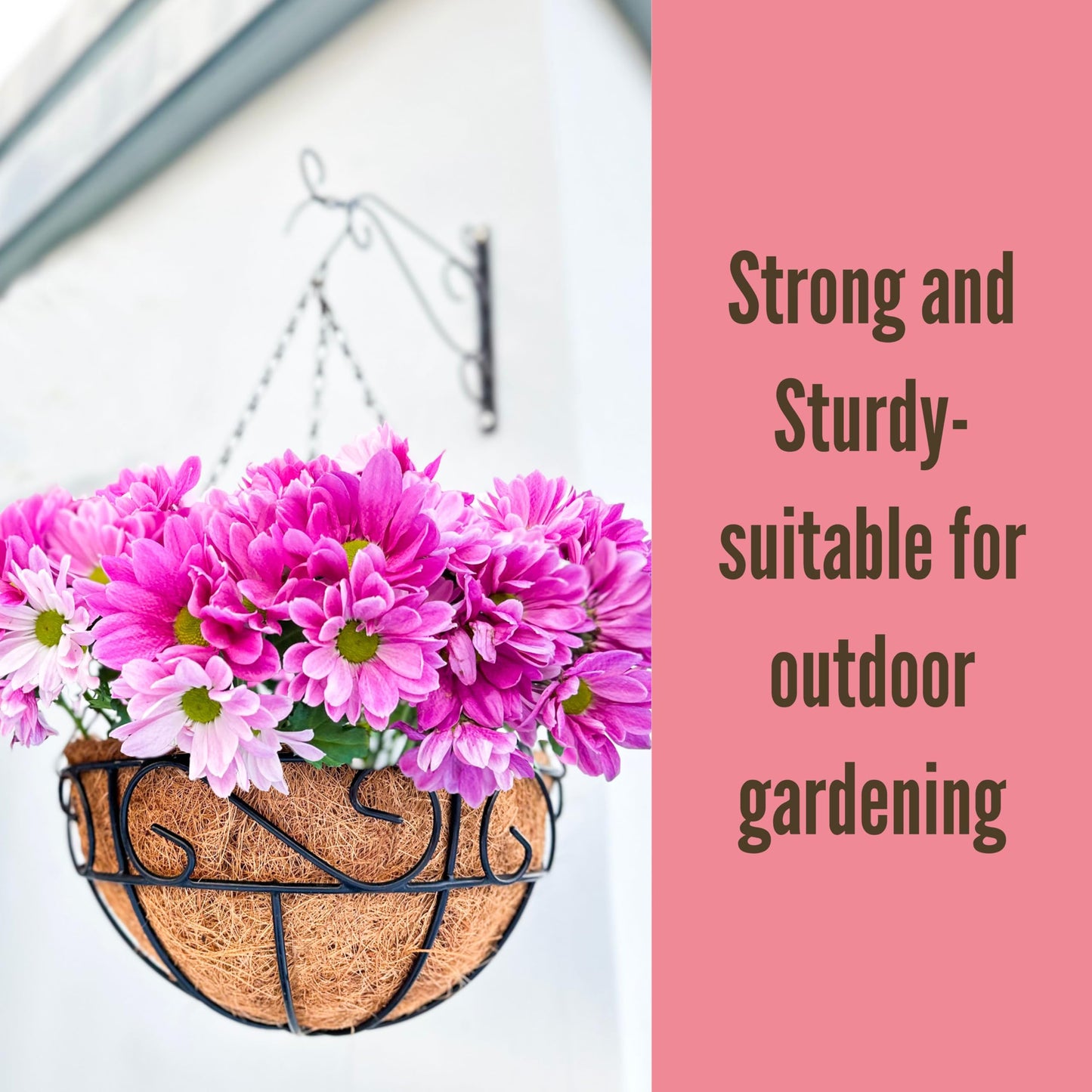 LaLaGreen Hanging Planter for Outdoor Plants (12 Inch, 2 Pack) Hanging Baskets with Coco Liner, Black Metal Wire Flower Basket Pots with Hook Hanger Balcony Porch Farmhouse Country Style Garden Decor