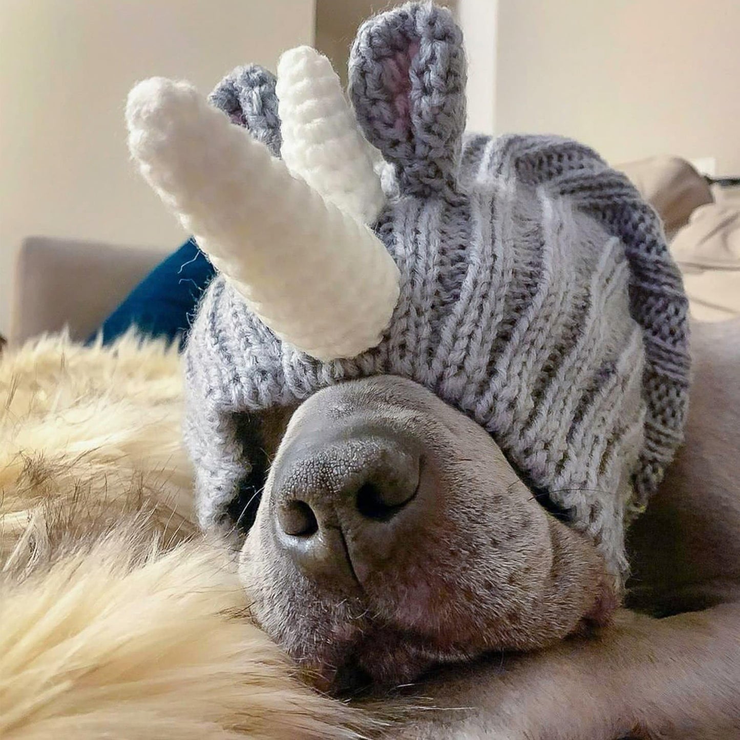 Zoo Snoods Rhino Costume - Knit Dog Snood Ear Wrap for Pets, Warm Neck Cover for Halloween and Winter (Medium)