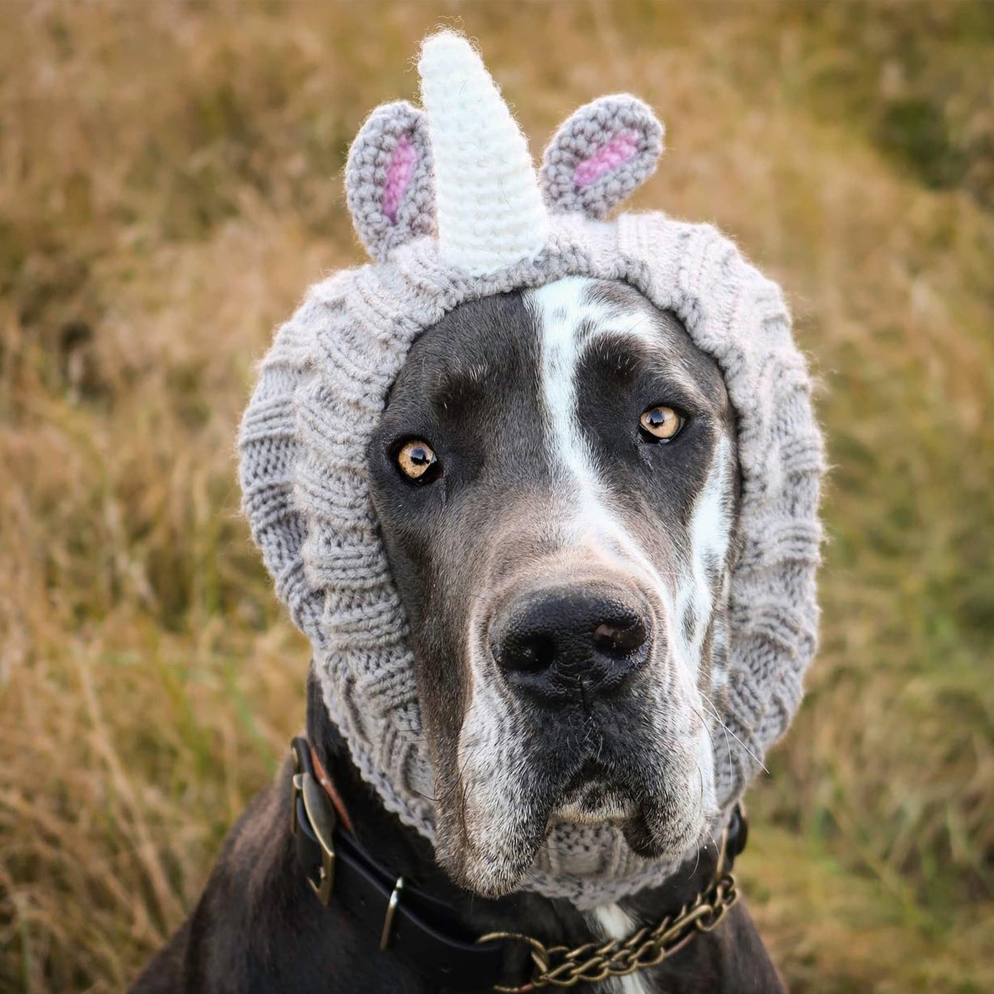 Zoo Snoods Rhino Costume - Knit Dog Snood Ear Wrap for Pets, Warm Neck Cover for Halloween and Winter (Medium)