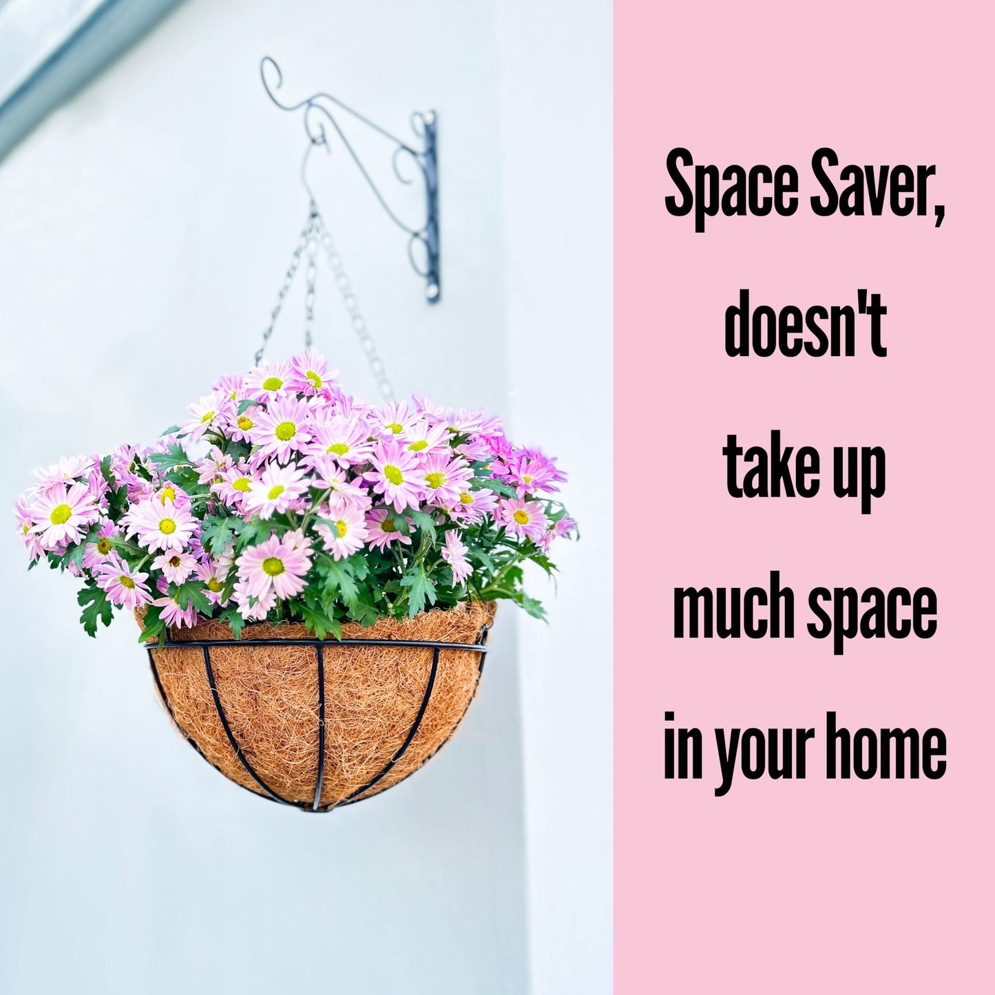 LaLaGreen Hanging Planters with Coco Liners (12 Inch, 3 Pack) Hanging Baskets for Plant Outdoor, Hanging Plant Pot Flower Metal Wire Round Holder Hanger Hook Chain Deck Porch Garden Balcony Boho Decor