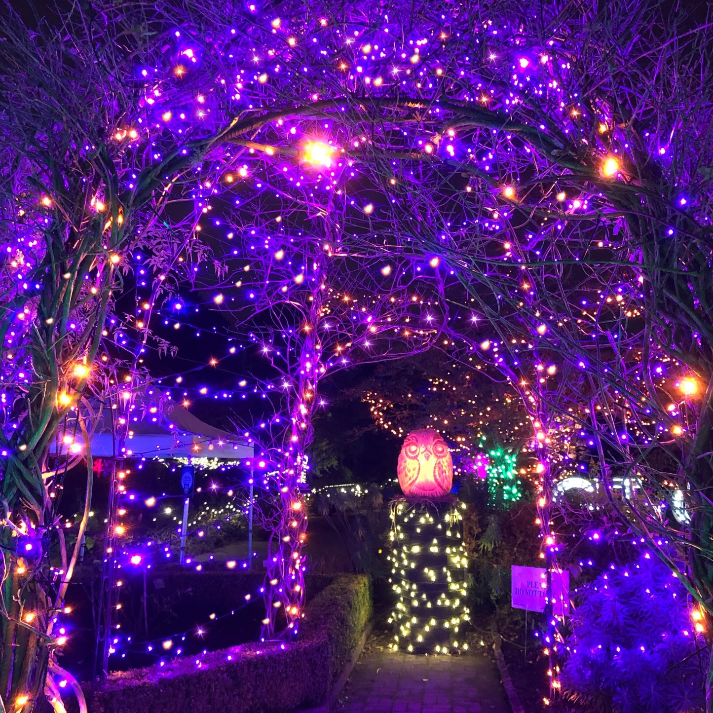 200LED Solar Halloween Lights,78FT Orange& Purple String Lights,Solar Fairy Lights with 8 Modes, Halloween Lights Outdoor Waterproof for Bedroom Patio Garden Party Yard Decoration