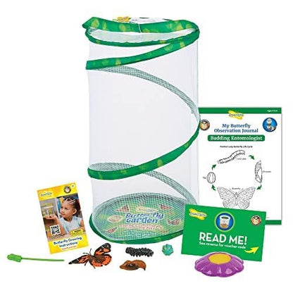 Insect Lore Giant Butterfly Garden with Voucher | 18 Inch Habitat | Life Cycle Figurines Included | Voucher to Redeem 5 Baby Caterpillars Later | Raise Painted Lady Butterflies