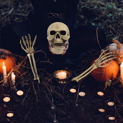 yosager Realistic Skull and Skeleton Arms Stakes, Indoor Outdoor Graveyard Best Halloween Yard Decorations
