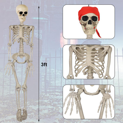 yosager 3ft/90cm Halloween Skeleton, Full Body Skeleton, Life Size Human Bones Pose-N-Stay Realistic with Adjustable Joints, Pose Skeleton Prop, Haunted House Decor