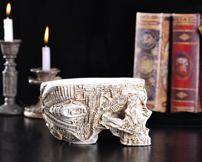 IBWell Modern Large Funny Resin Skull Shaped Head Design Flower Pot Planter Container, Decoration Flowerpot Props Home Office Desk Decor (Mediterranean)