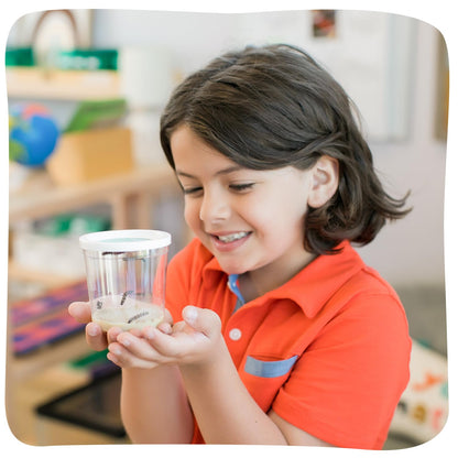 Insect Lore Butterfly Garden Kit – 10 Live Caterpillars, Habitat, STEM Journal, 2 Chrys-a-lid Holding Logs & Feeder – Grow & Release Painted Lady Butterflies – Educational Science Toy