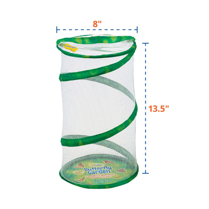 Insect Lore Butterfly Garden - 8" Habitat with 5 Live Baby Caterpillars - Includes Life Cycle Figurines, Stickers, Wind up, Mini Habitat | Birthday or Teacher Gift Set