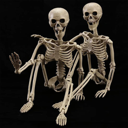 wymulot 2 Pack 40 Inches Halloween Skeleton Life Size Full Body Realistic Posable Movable Jonints for Halloween Party Decoration Décor