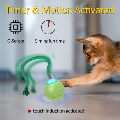 Interactive Cat Toys for Bored Indoor Adult Cats, Automatic Fast Move On Carpet, Bird Chirping & Motion Activated Cat Ball
