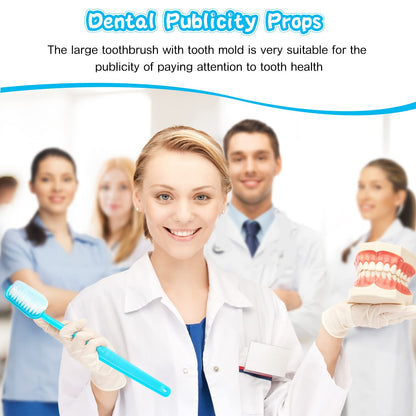 Ireer 2 Pieces Giant Toothbrush Prop Large Toothbrushes Big Brush Oversized Gag Novelty Toys for Summer Halloween Costume Take Picture Comedy Party Favors Pet Grooming Brush(Red, Blue)