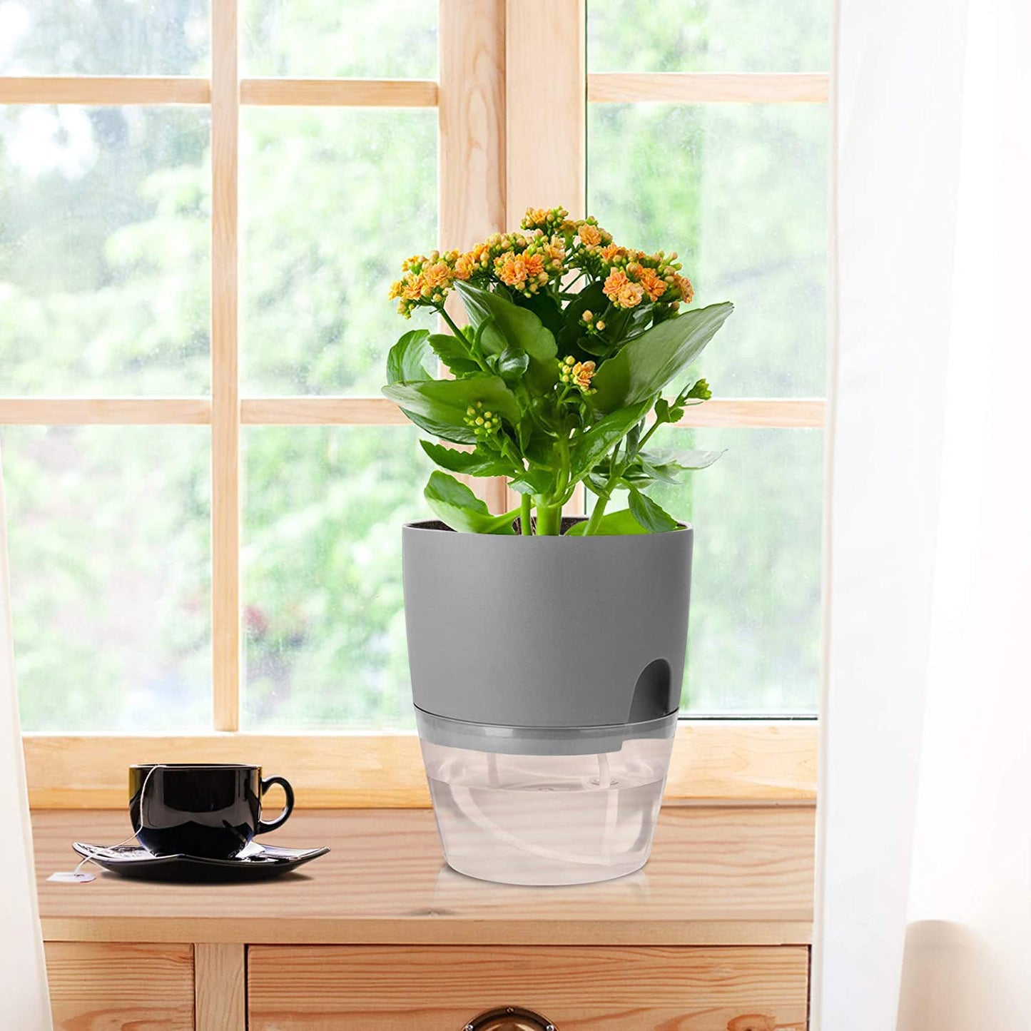 iDattel Herb Pot Kitchen Set Window Sill Self-Watering Set of 3 Herb Garden for The Kitchen, 18.2 x 11 x 15.3 cm, for Fresh Kitchen Herbs, Grey