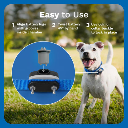 Invisible Fence Power Cap Battery; Battery for (2-Pack) Electric Collar Batteries for Dog Collars Original Brand Product, Dog Collar