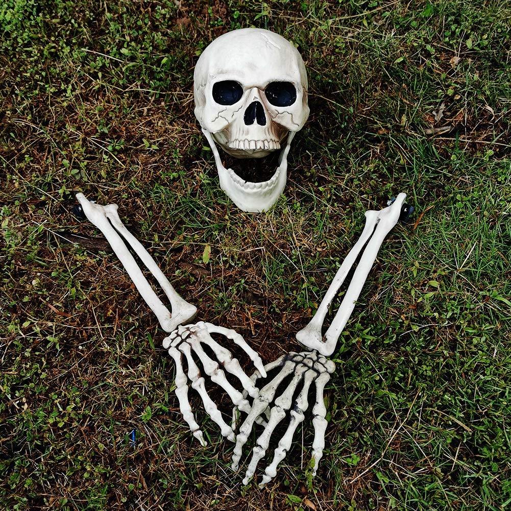 yosager Realistic Skull and Skeleton Arms Stakes, Indoor Outdoor Graveyard Best Halloween Yard Decorations