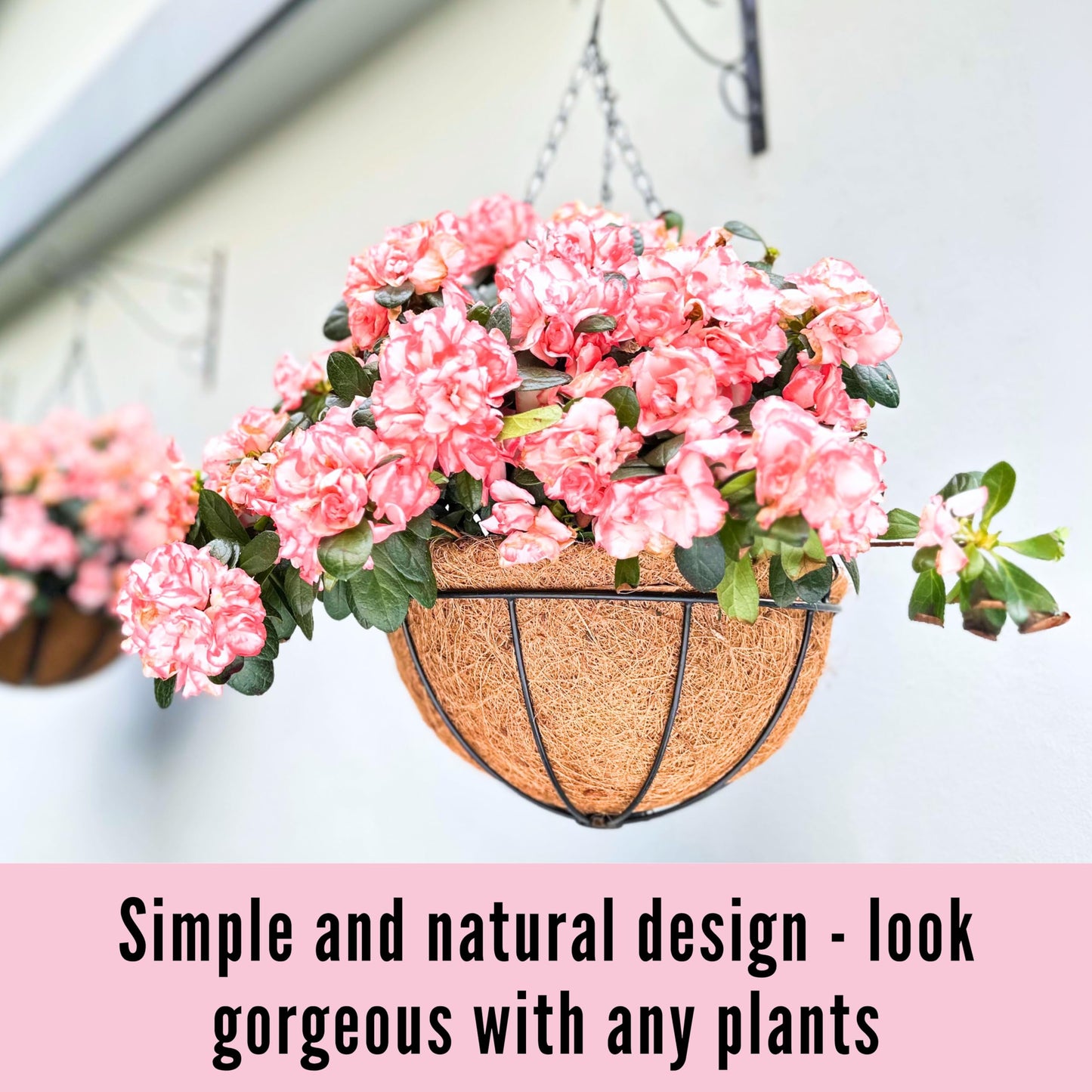 LaLaGreen Hanging Planters with Coco Liners (12 Inch, 3 Pack) Hanging Baskets for Plant Outdoor, Hanging Plant Pot Flower Metal Wire Round Holder Hanger Hook Chain Deck Porch Garden Balcony Boho Decor