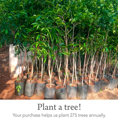 Indi Bandana Bibs for Boys & Girls, Fairtrade Certified, 4-Way Reversible Baby Drool Bibs, 100% Organic Cotton Muslin, 5-Pk