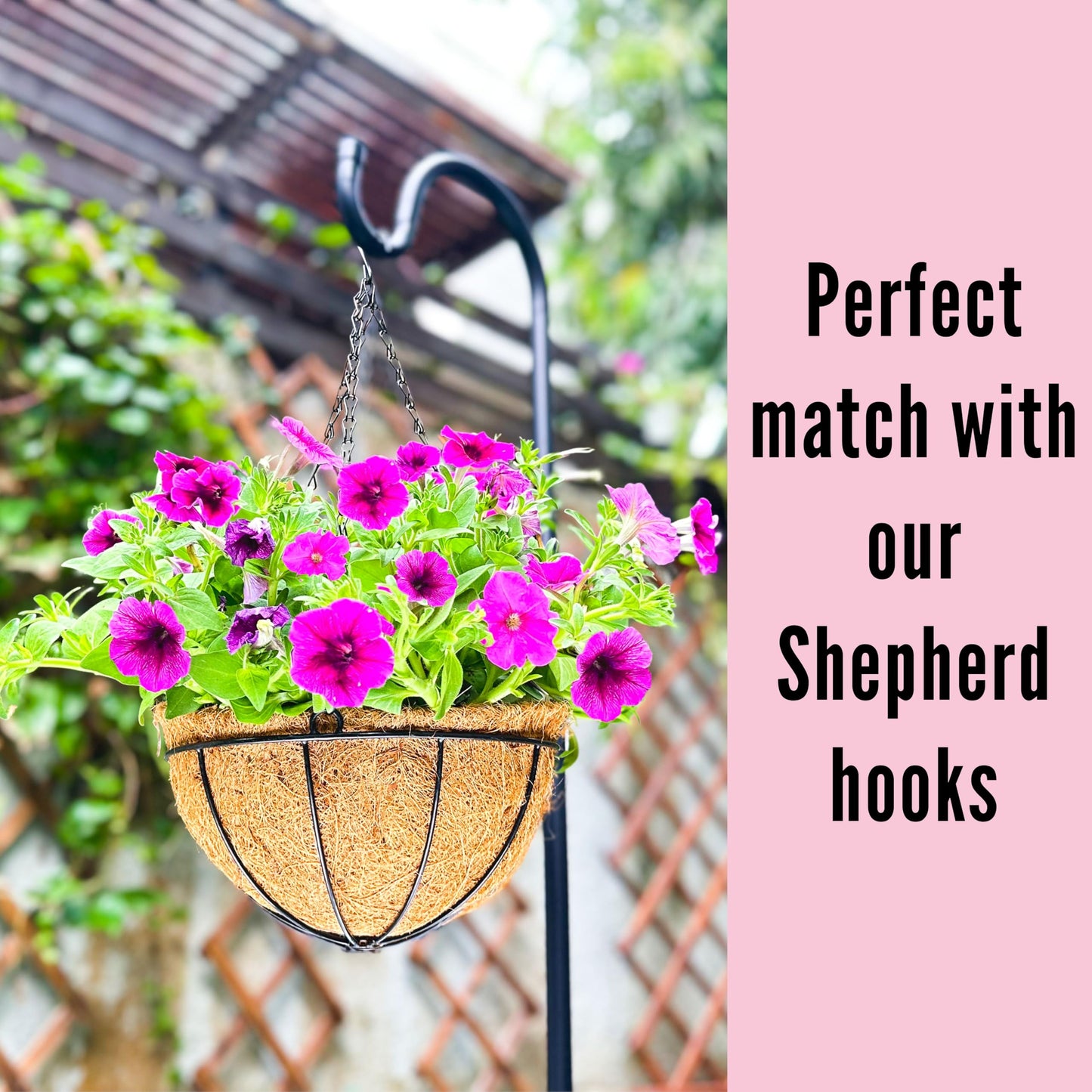 LaLaGreen Hanging Planters with Coco Liners (12 Inch, 3 Pack) Hanging Baskets for Plant Outdoor, Hanging Plant Pot Flower Metal Wire Round Holder Hanger Hook Chain Deck Porch Garden Balcony Boho Decor